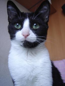 Marian Bild von Marian