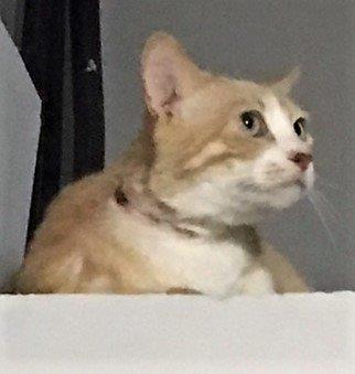 Bastiane Bild von Bastiane