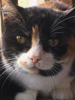 Zulema Bild von Zulema