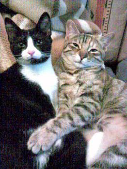 Marian und Estela Bild von Marian