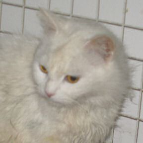 Julia Bild von Julia