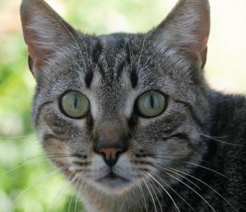 Simon Bild von Simon