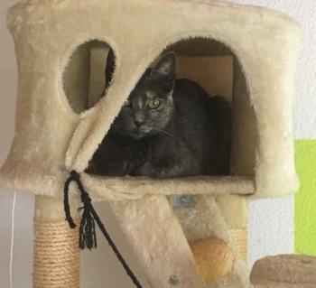 Nala Bild von Nala