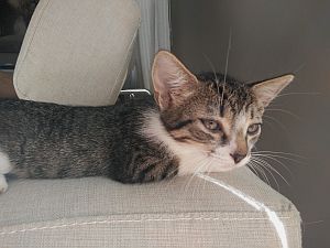 Zoe Bild von Zoe