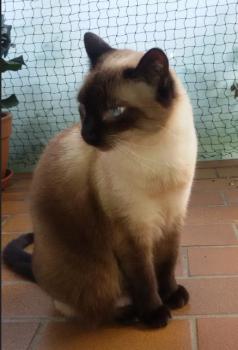 Marisol Bild von Marisol