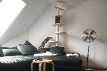 Fame Bild von Fame