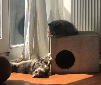 Bonni Bild von Bonni