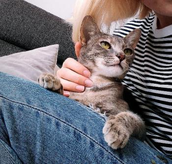 Lisa Bild von Lisa