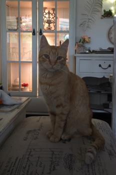 Chimo Bild von Chimo