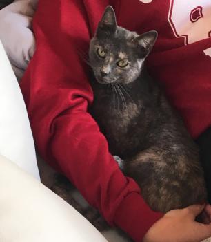 Nala Bild von Nala