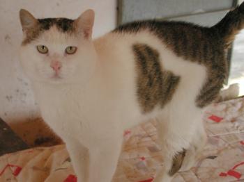 Floc Bild von Floc