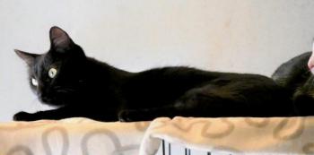 Sophia Bild von Sophia