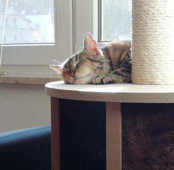 Fame Bild von Fame