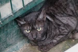 Marcia Bild von Marcia