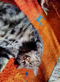 Lulu Bild von Lulu
