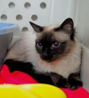 Sophia Bild von Sophia