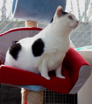 Smudge Bild von Smudge