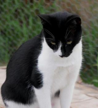Wanda Bild von Wanda