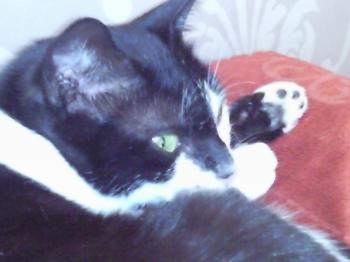 Bild von Jina