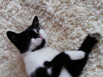 Bild von Jina