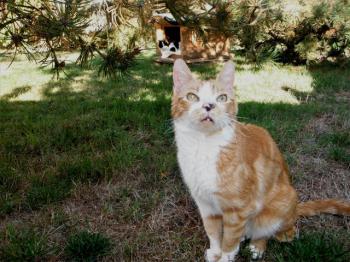 Rubi Bild von Rubi