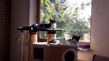 Bild von Samuel
