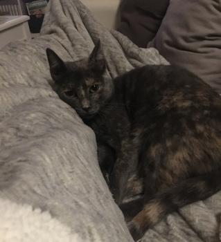 Nala Bild von Nala