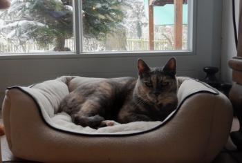 Grey Bild von Grey