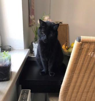 Coco Bild von Coco