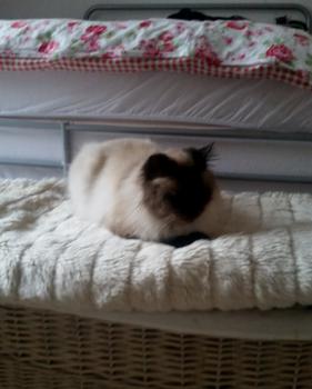 Ted Bild von Ted