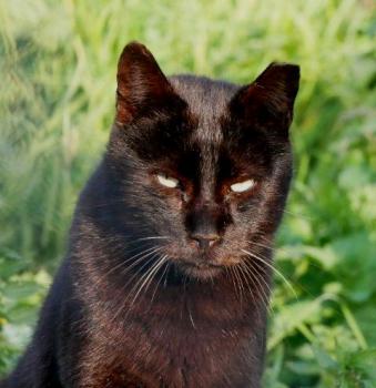 Camillo Bild von Camillo