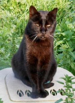 Camillo Bild von Camillo