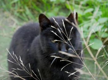 Camillo Bild von Camillo