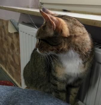 Bild von Margaret