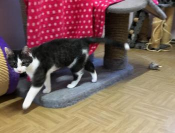 Sam Bild von Sam