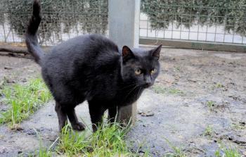 Freddy Bild von Freddy