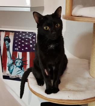 Bild von Akira