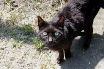 Simon Bild von Simon