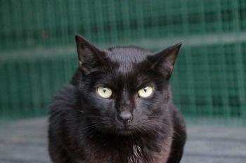 Simon Bild von Simon