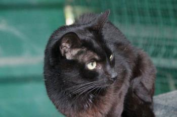 Simon Bild von Simon
