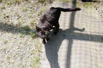 Simon Bild von Simon