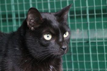 Simon Bild von Simon