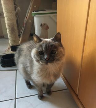 Bella Bild von Bella