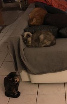 Bella Bild von Bella