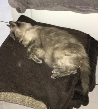 Bella Bild von Bella