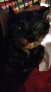 ohne Namen 7645 Bild von Jenny