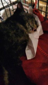 ohne Namen 7645 Bild von Jenny