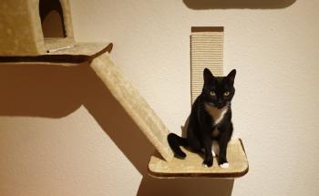 Auxi Bild von Auxi