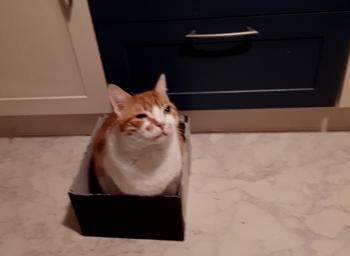 Quini Bild von Quini