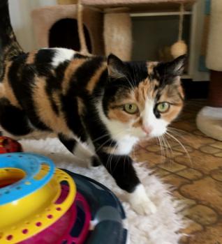 Geraldine Bild von Geraldine